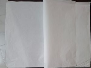 Bible Paper
