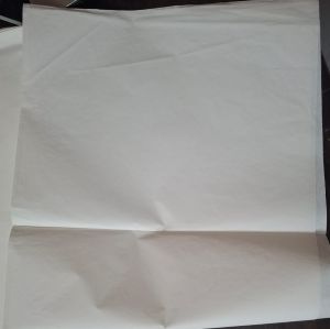 Bible Paper