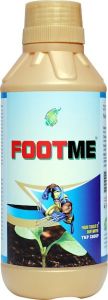 Footme Validamycin 3% L Systemic Antibiotic Fungicide