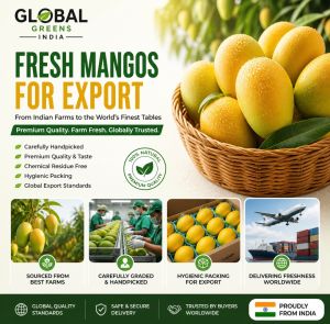 Alphanso Mangoes