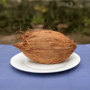 A Grade Brown Coconut
