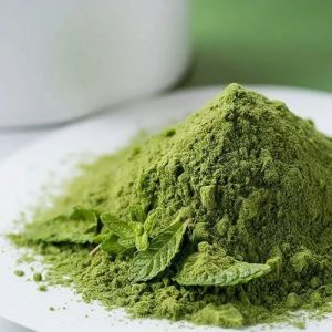 Dried Mint Leaves Powder