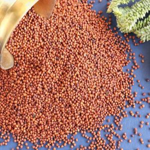 Organic Ragi Millets