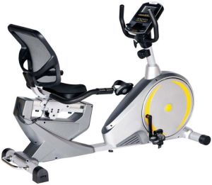 Domestic Recumbent Bike