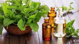 Patchouli Oil