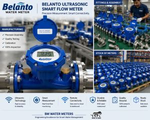 Ultrasonic Flow Meter