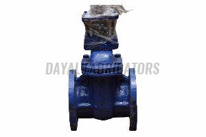 Cast Iron Sluice Valves