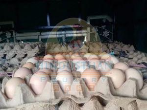 Nattu Kozhi Muttai Poultry Eggs