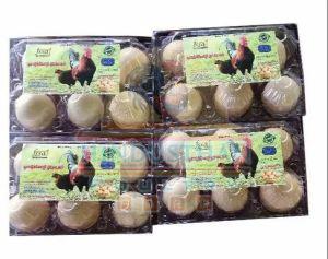 Nattu Kozhi Muttai Poultry Eggs