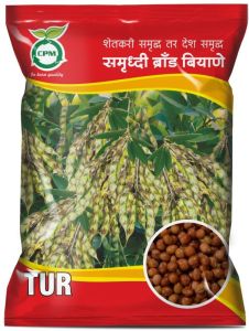 bdn-716 tur seeds