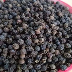 11.5mm Extra Bold Black Pepper Seeds