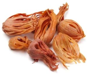 Dried Nutmeg Mace Flower