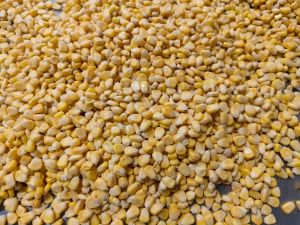 500gm American Frozen Sweet Corn