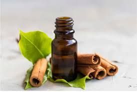 Cinnamon Oleoresin