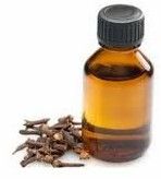 Clove Oleoresin