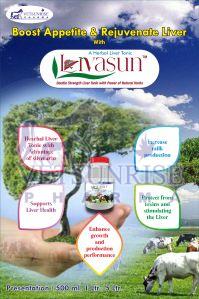 Herbal Livasun Liver Tonic