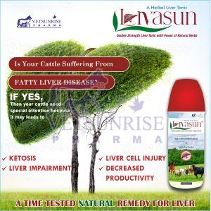 Herbal Livasun Liver Tonic