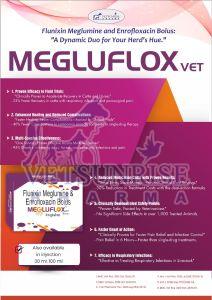 Megluflox Vet Bolus