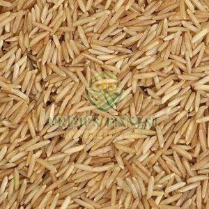 1885 Raw Brown Basmati Rice