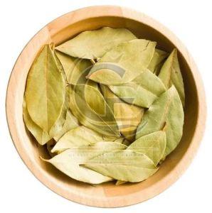 Dry Bay Leaf