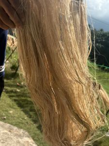 Banana Fiber