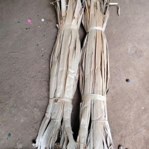 Banana Stem