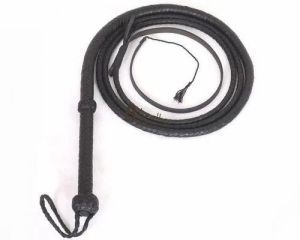 Leather Whip