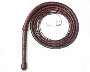 Leather Whip