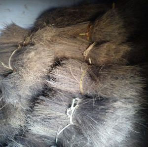 Palm Fibre
