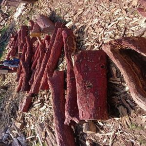 Red Sandal Wood