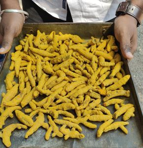 Turmeric Finger