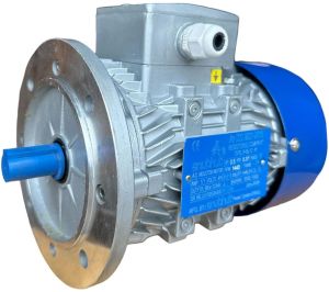 0.5HP CI Three Phase Electric Motor