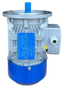 1 HP Three Phase Induction Motor