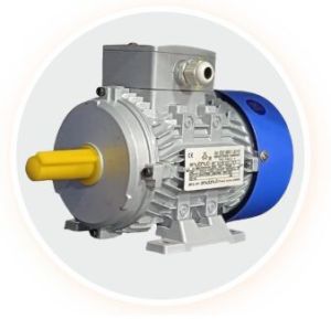 1 HP Three Phase Motors