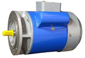 2 HP Single Phase Electric Motor