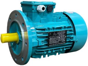 2 HP Three Phase Motors