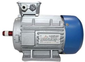 2 HP Three Phase Motors