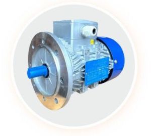 2 HP Three Phase Motors