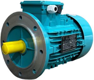 2HP Three Phase Induction Motor