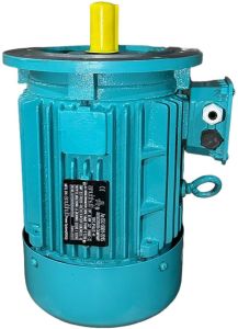 3 Phase Electric Motor