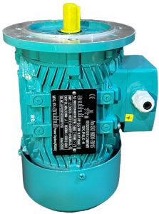 3 Phase Flange Mounted Motor
