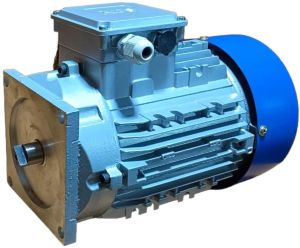 3HP CI Three Phase Electric Motor