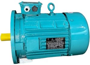 3HPThree Phase Electric Motor