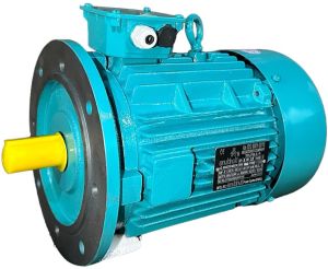 3HPThree Phase Electric Motor