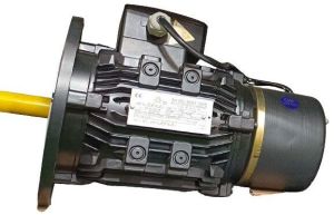 AC Electric Brake Motor
