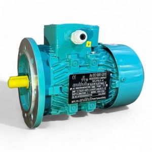 AC Motor Flange Mounted
