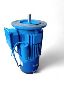 Brake Motor AC
