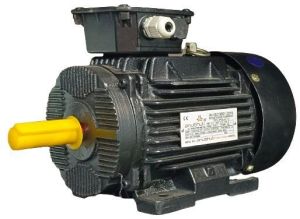 Cast Iron Three Phase Electric Motor