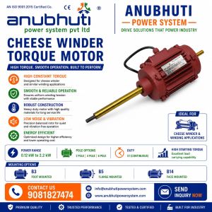Cheese Winder Motor