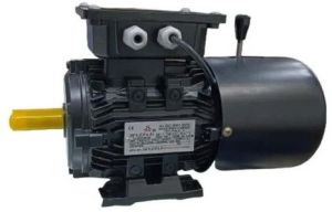 CI Electric DC Brake Motor